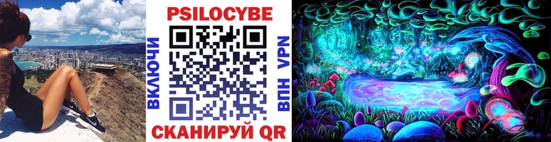 Псилоцибиновые грибы мицелий Катав-Ивановск